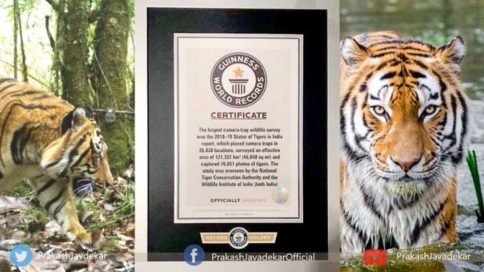912991-tigers-new